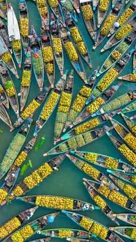 Fruchtige &bdquo;Ange-Boote&rdquo;