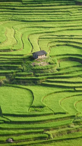 Rifugio tra le risaie