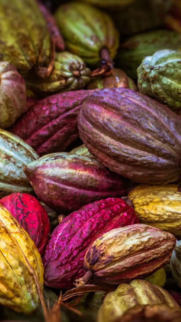 Amanti della cioccolata riunitevi!