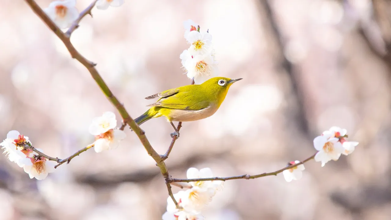 今日は立春