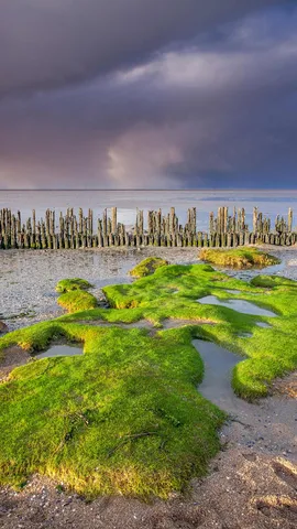 Mud, sea and sky