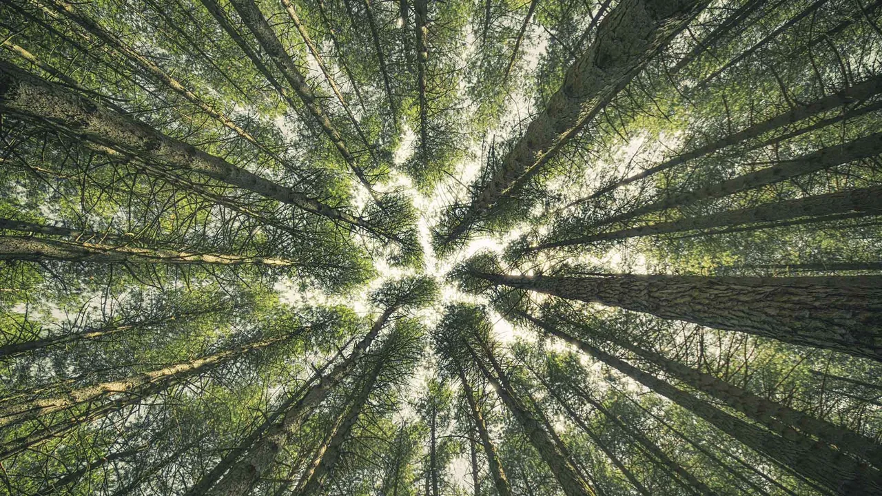 L'estate sta iniziando...