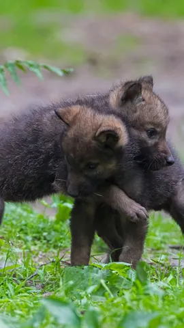 Ein Fest der Verbundenheit