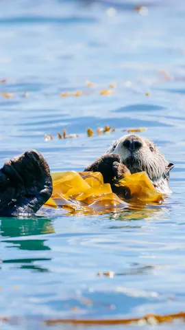 Einfach mal abschalten!