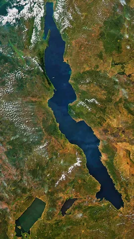 今日は世界水の日