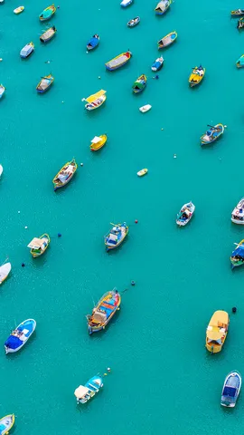 Bright boats, timeless traditions