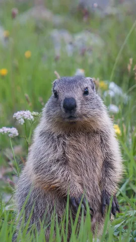Peu importe le temps