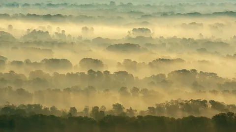 根系自由生长的地方