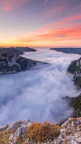 幻想的な川霧が湧く峡谷