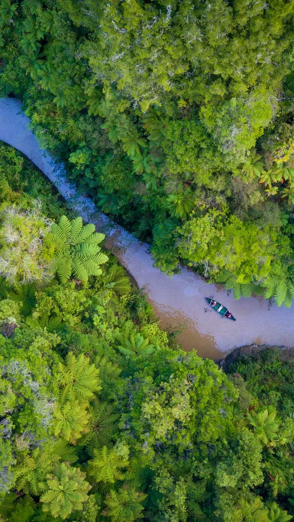 Fluye en la naturaleza