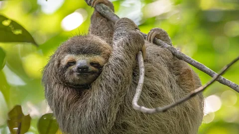 Hanging in there