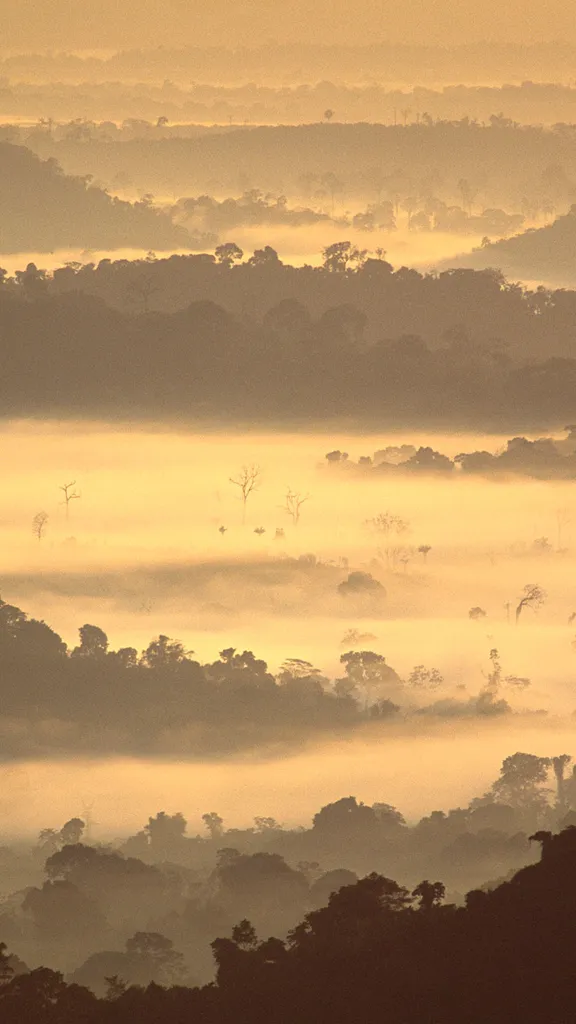 Perder-se na n&eacute;voa