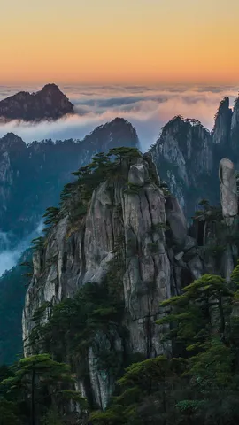 今天我们去爬山吧