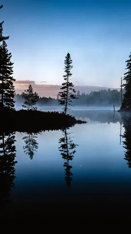 A wilder side of Maine