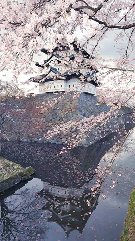 Dove risiede il potere