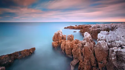 L'arri&egrave;re-saison en majest&eacute;