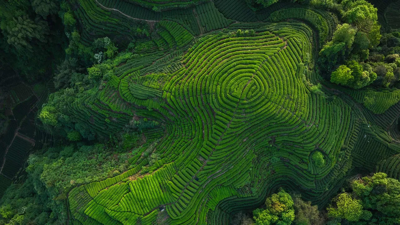 Rituali d'oriente