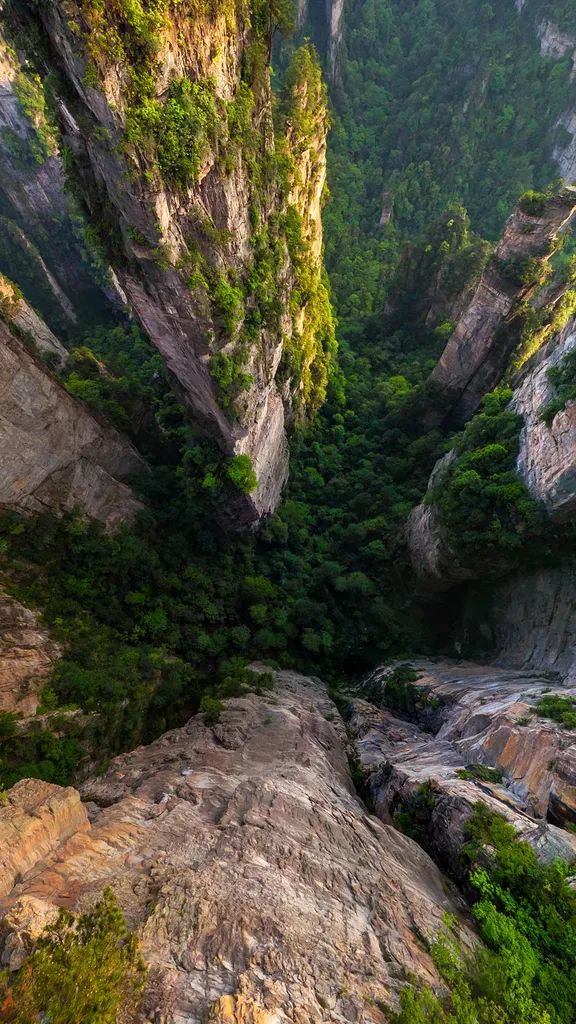Un tr&eacute;sor naturel d&eacute;fiant la gravit&eacute;
