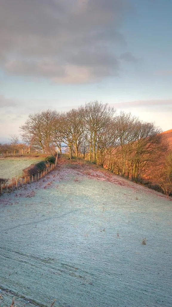 今日はウェールズの旧正月
