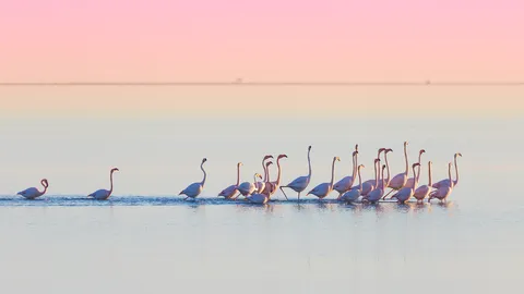 Un grupo muy flamenco
