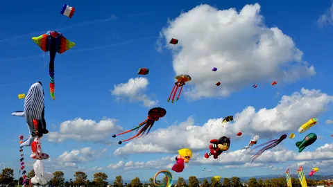 Le ciel en f&ecirc;te