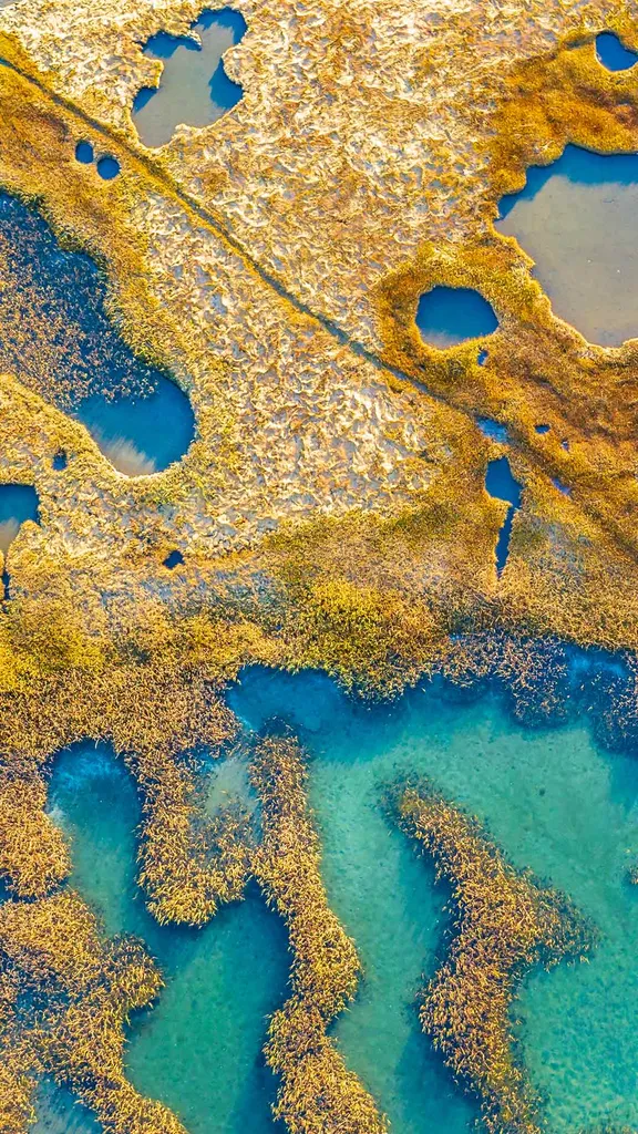 像一张油画