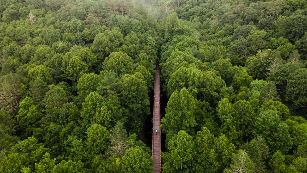 Trailing through time