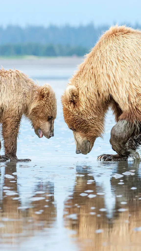 孩子，你把鱼扔哪儿了？