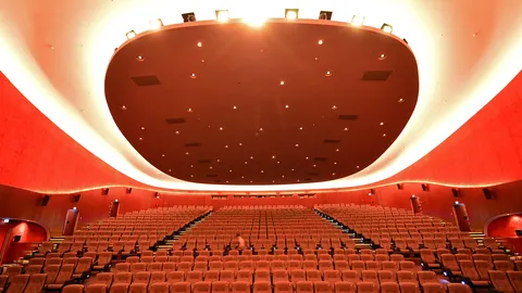 Filmkunst, Vielfalt und Tradition
