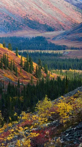 Crisp leaves, cool breeze