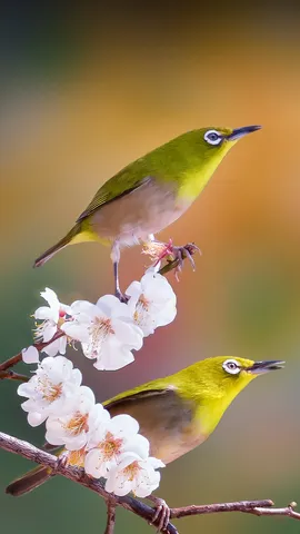 Pr&ecirc;t pour l&rsquo;atterrissage !