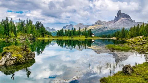 Specchio di primavera