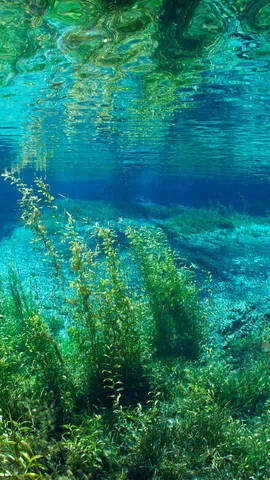 Un joyau naturel au c&oelig;ur de la Floride