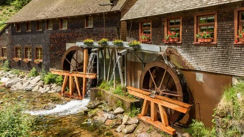 Wasser treibt Geschichte