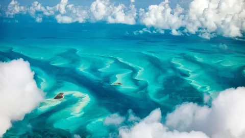 Las olas de la libertad