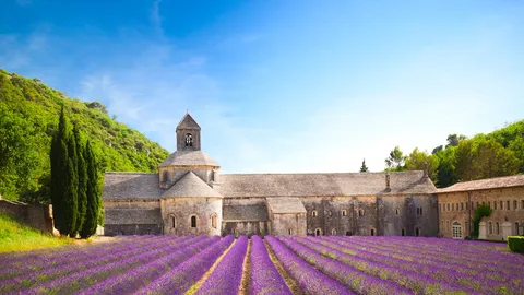 Entre Histoire, lavande et tradition
