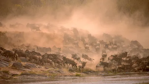 Where the river tests the brave
