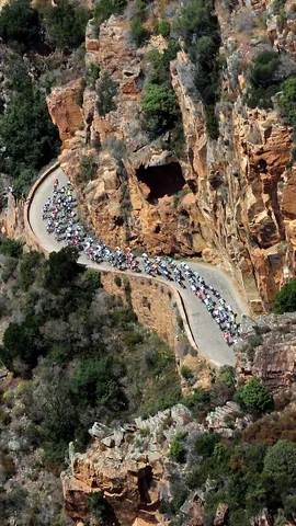 Saddle up for Le Tour!