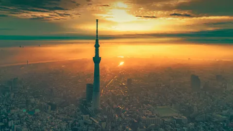 スカイツリー開業から 14 年