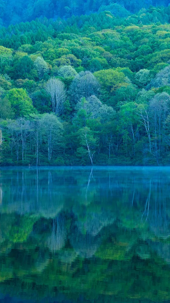 A mirror reflecting nature's beauty