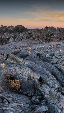 Fino alla luna e ritorno
