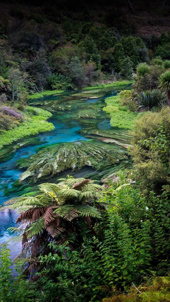 L'eau, un bien rare et pr&eacute;cieux