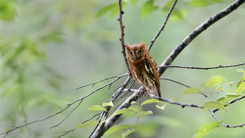 今日は敬老の日