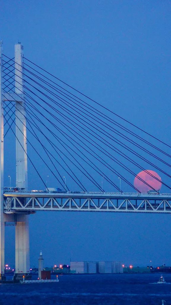 今日は中秋の名月