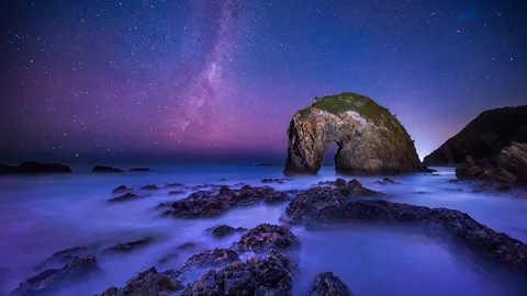 海岸线附近的&ldquo;马戏&rdquo;