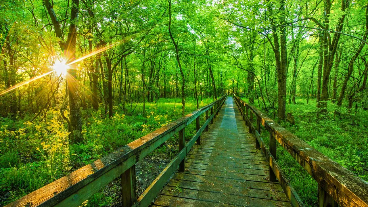 Natchez Trace Parkway, Tupelo, Mississippi, United States