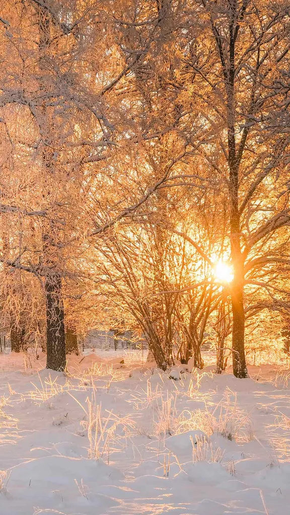 Rayos c&aacute;lidos en el fr&iacute;o invierno