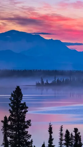 A view that speaks volumes